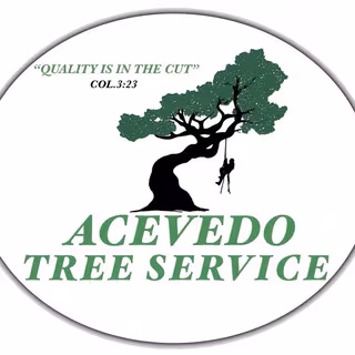 Acevedo Tree Service Tree Service San Jose CA bucket-truck