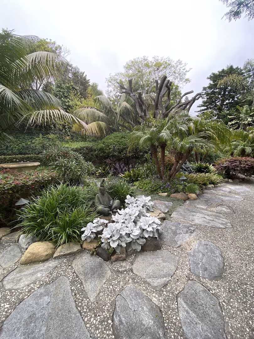 Adunas Landscaping Inc. Tree Service Santa Barbara CA driveway-protect