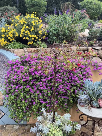 Alexander Landscape & Designs Landscaping & Lawn Care Santa Barbara CA sod-install