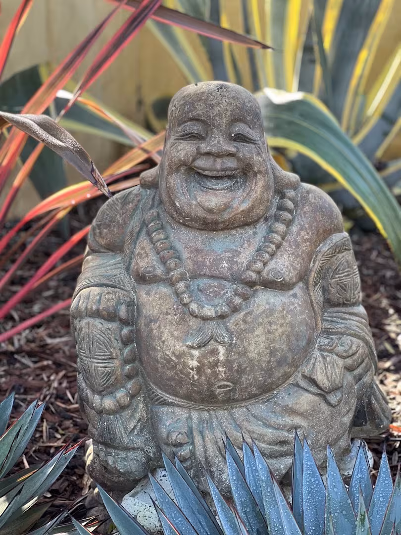Alexander Landscape & Designs Santa Barbara CA Landscaping & Lawn Care bare-spot