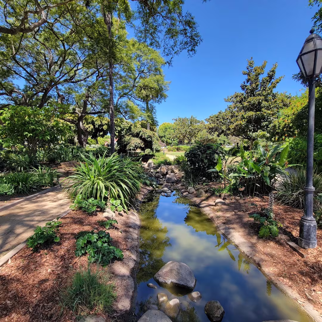 Alice Keck Park Memorial Garden Tree Service Santa Barbara CA lightning-protect