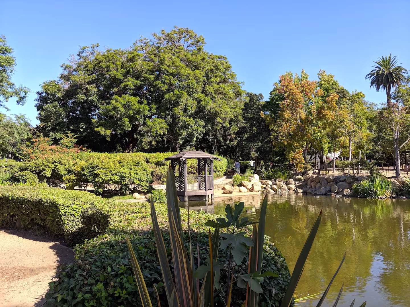 Alice Keck Park Memorial Garden Tree Service Santa Barbara CA stump-remove