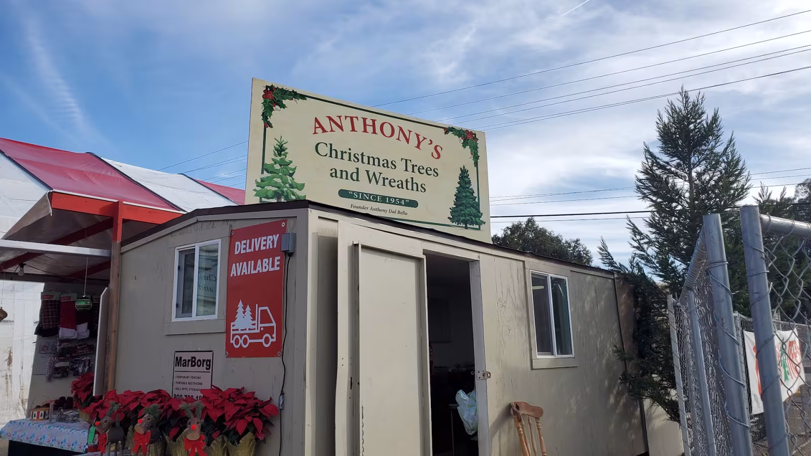 Tree Service Anthony's Christmas Trees Santa Barbara CA root-barrier