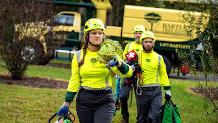 Bartlett Tree Experts Tree Service Santa Barbara CA photo-report