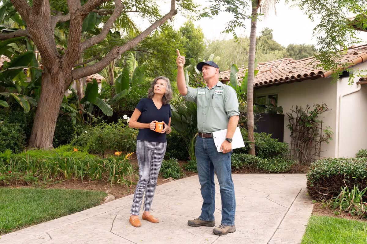 Branch Out Tree Care, Inc. Tree Service Santa Barbara CA view-prune