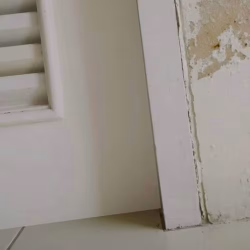 Bustan Mold Remediation Water Damage Restoration CA Santa Barbara containment-restore