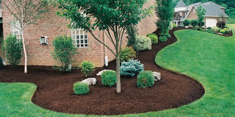 CA Goleta SB Tree Care Tree Service permit-tree