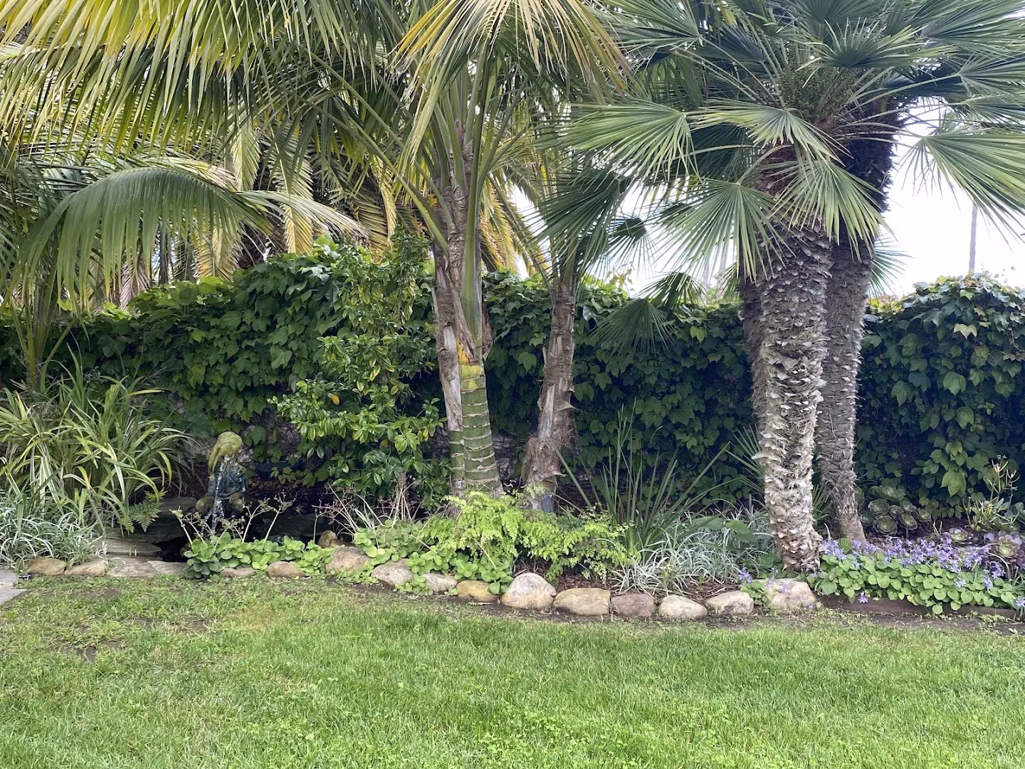 Adunas Landscaping Inc. Tree Service Santa Barbara CA clean-sweep