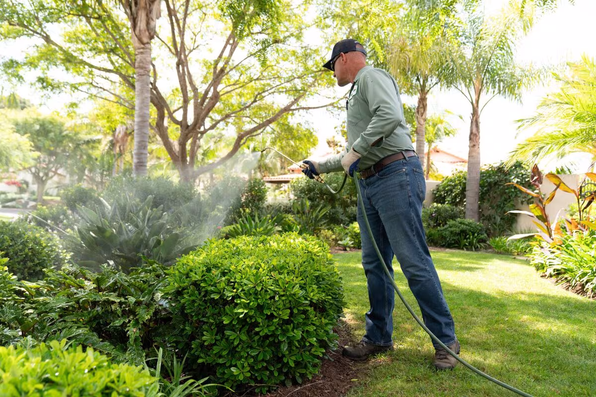 CA Santa Barbara Branch Out Tree Care, Inc. Tree Service written-report