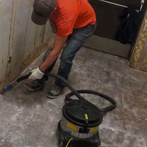 CA Santa Barbara Bustan Mold Remediation Water Damage Restoration dry-log