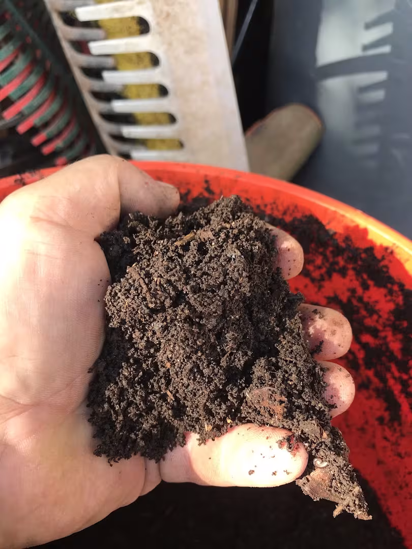 Santa Barbara CA Dave's Organic Gardening Pest Control trash-area