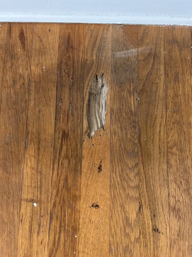 CA Santa Barbara Douglas Hardwood Floors Water Damage Restoration sketch