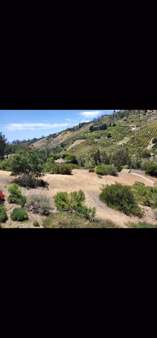 CA Santa Barbara Hernandez Landscaping Services Landscaping & Lawn Care steel-edging