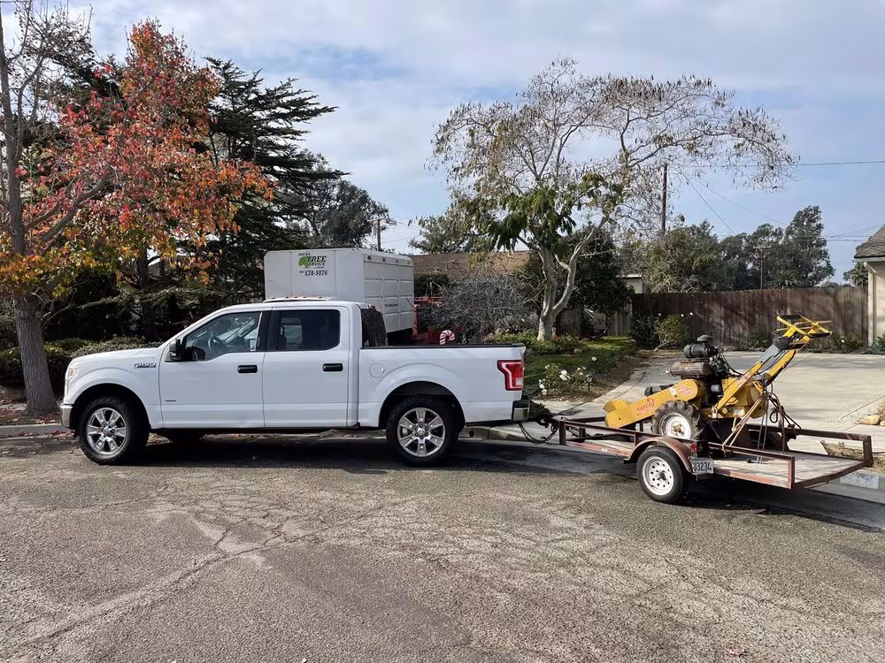 CA Santa Barbara Nick's Tree Service Tree Service storm-tree