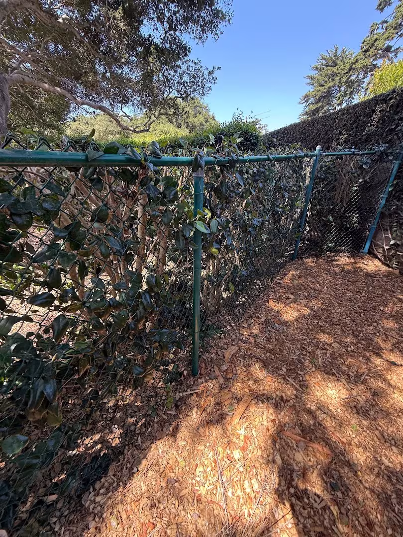 Pal Toby’s painting inc Painting Santa Barbara CA railing-paint
