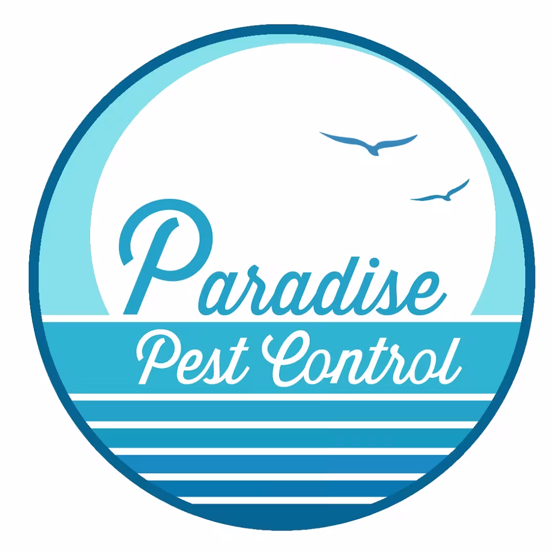 Santa Barbara Paradise Pest Control Pest Control CA spider