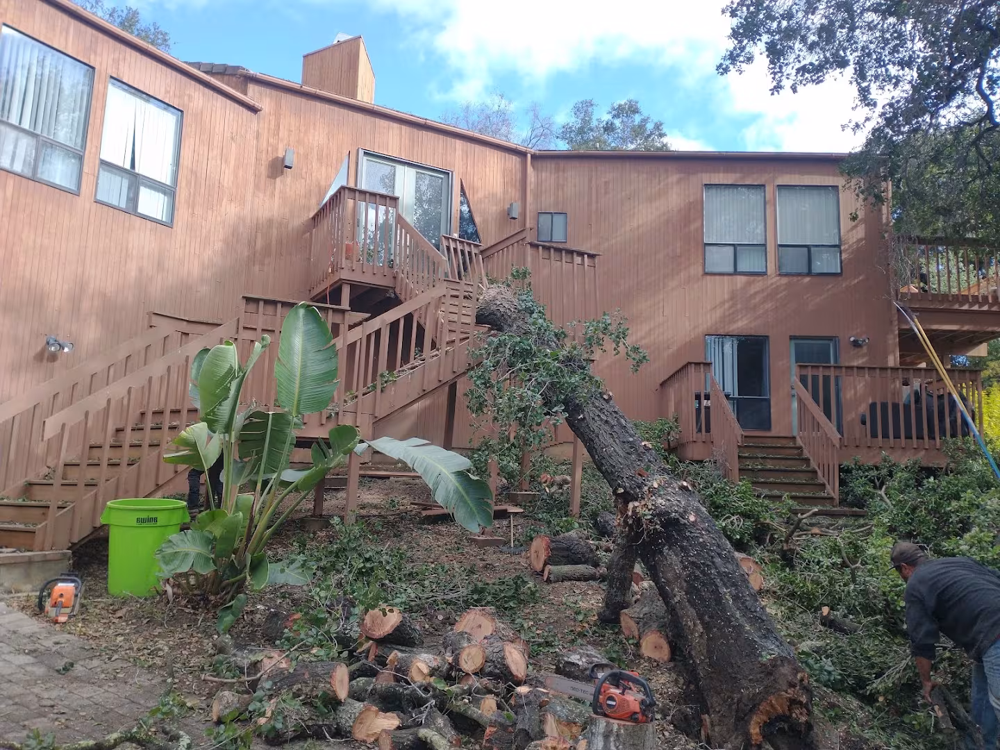 CA Santa Barbara Sotero Landscaping Landscaping & Lawn Care blowing
