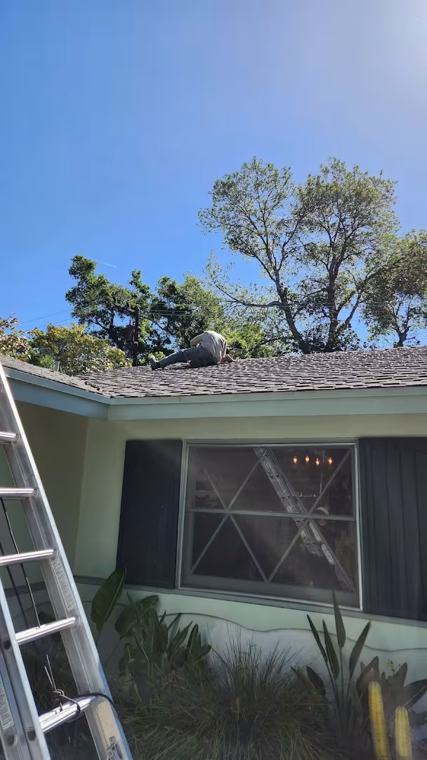 Super Bee Rescue and Removal Pest Control Santa Barbara CA heat-treat