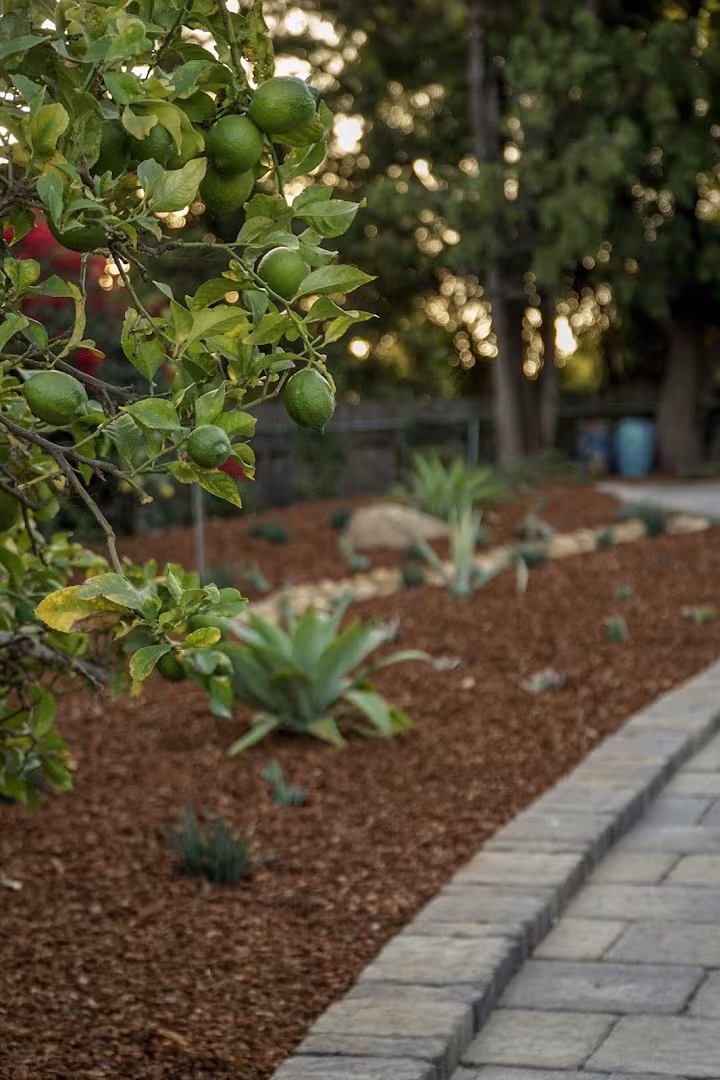 Zac Gonzalez Landscaping Pest Control Santa Barbara CA pet-safe