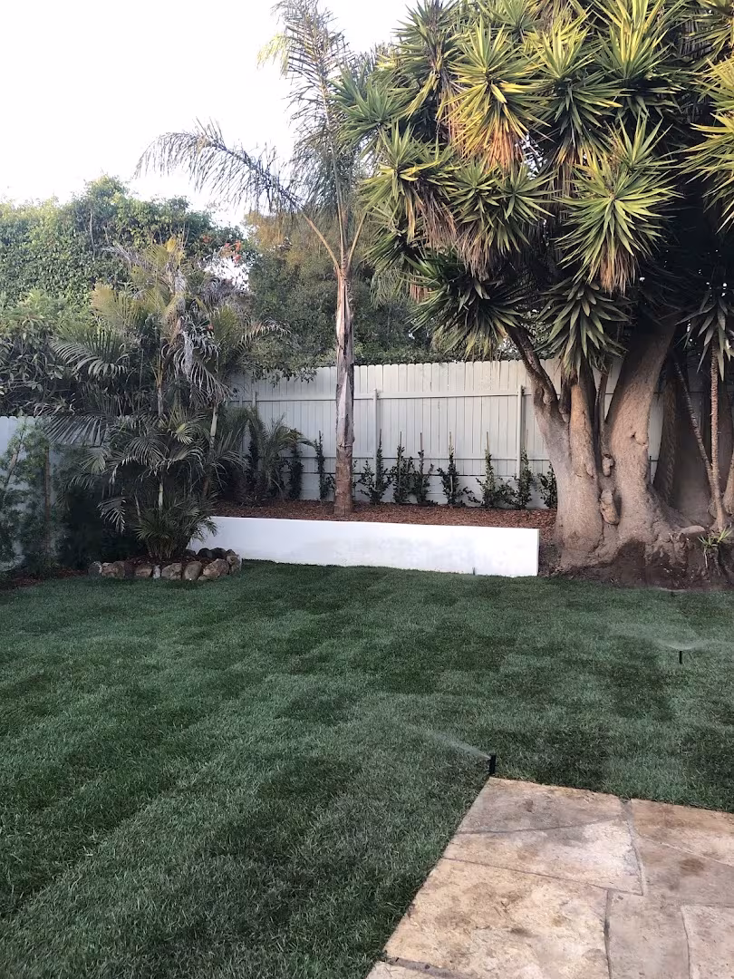 Luis' Landscape and Maintenance Tree Service Carpinteria CA photo-report
