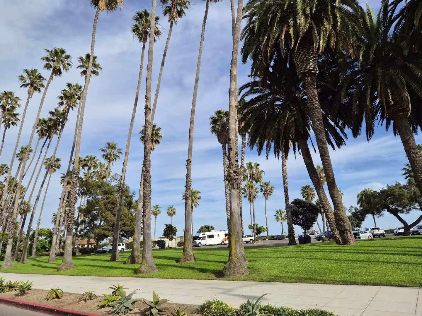 Chase Palm Park Landscaping & Lawn Care CA Santa Barbara biweekly
