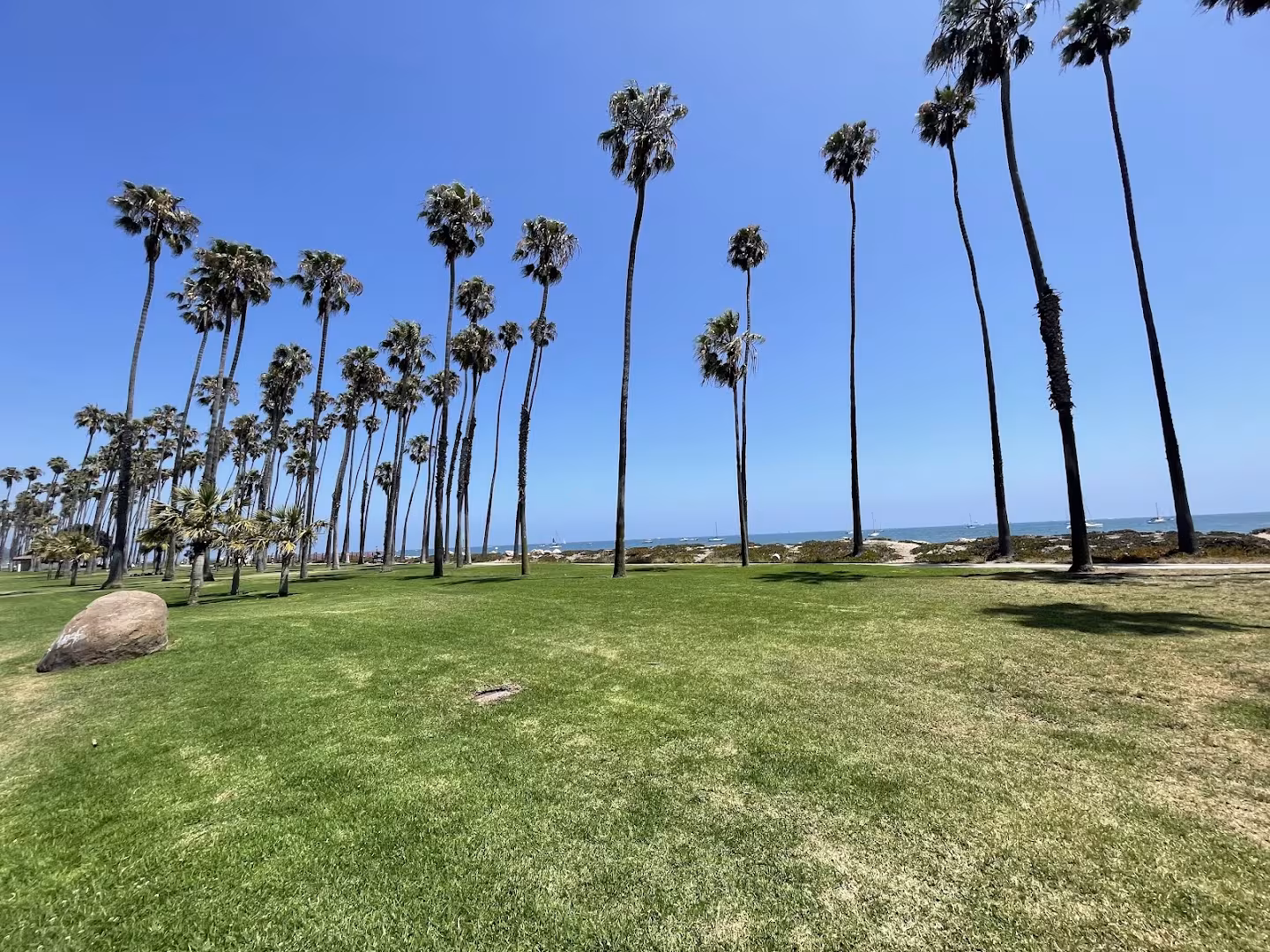 Chase Palm Park Santa Barbara CA Landscaping & Lawn Care design-yard