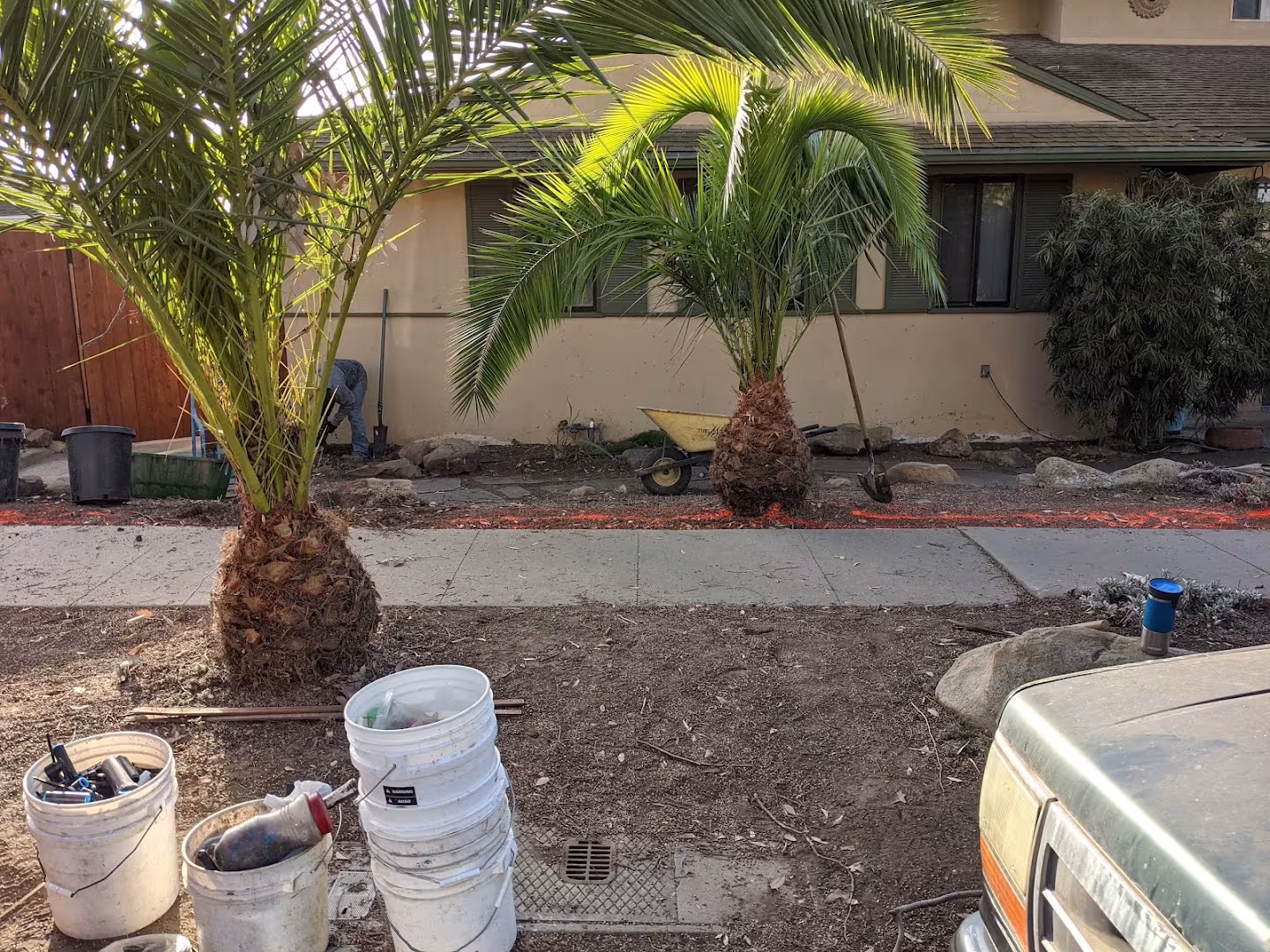 DLC Landscaping Tree Service Santa Barbara CA deadwood
