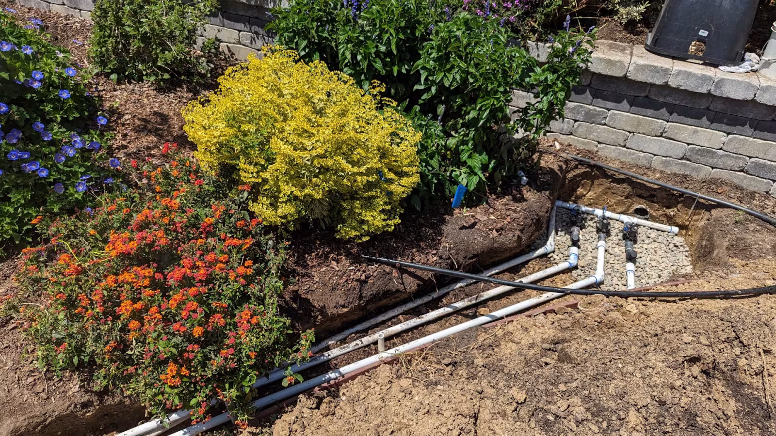 DLC Landscaping Tree Service Santa Barbara CA stump-grind