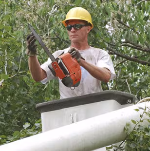 Fitch Mountain Tree Service Tree Service Healdsburg CA weak-union