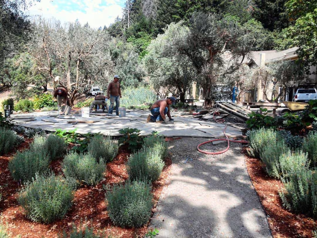 Gosnell Tree & Landscape Tree Service Santa Barbara CA dump-run