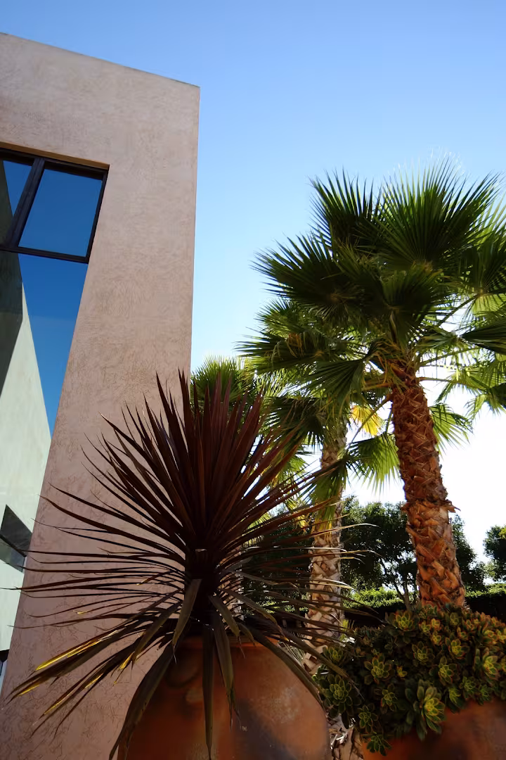 Landscapes by Davids Tree Service Santa Barbara CA clean-sweep