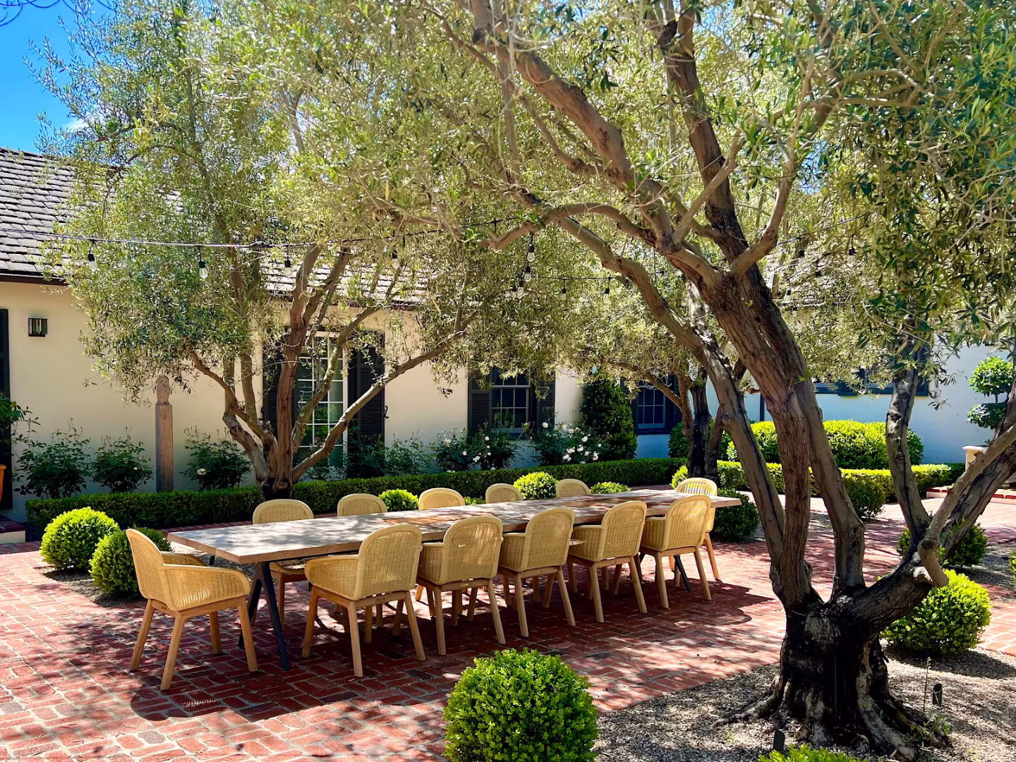Landscapes by Davids Tree Service Santa Barbara CA lawn-protect