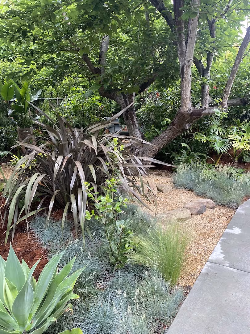 Adunas Landscaping Inc. Tree Service Santa Barbara CA final-rake