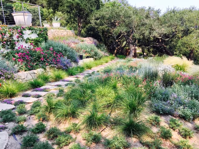 Breathtaking Landscaping Tree Service Santa Barbara CA chipper