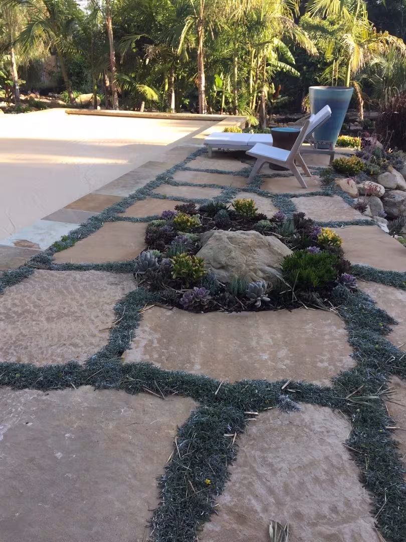 Luis' Landscape and Maintenance Tree Service Carpinteria CA written-report