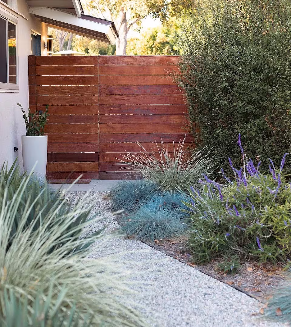 Landscaping & Lawn Care Down To Earth Landscapes, Inc. Santa Barbara CA scalp