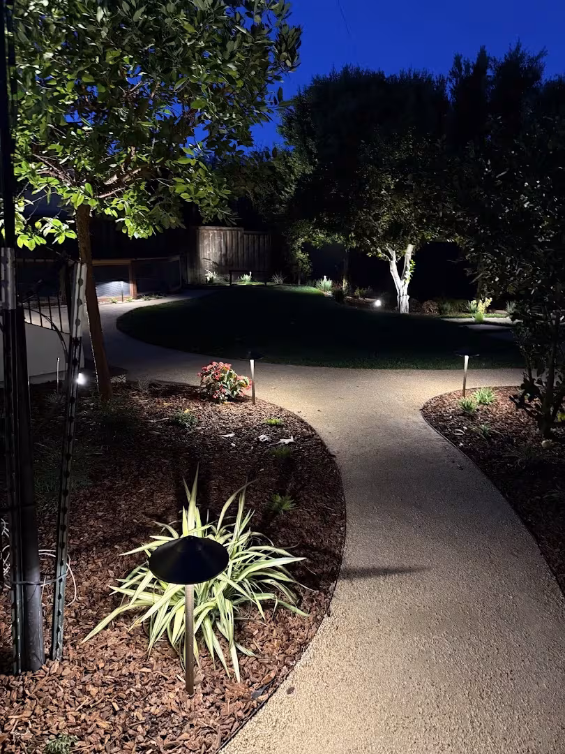 Landscaping & Lawn Care Jacinto’s Landscape CA Santa Barbara seed-lawn