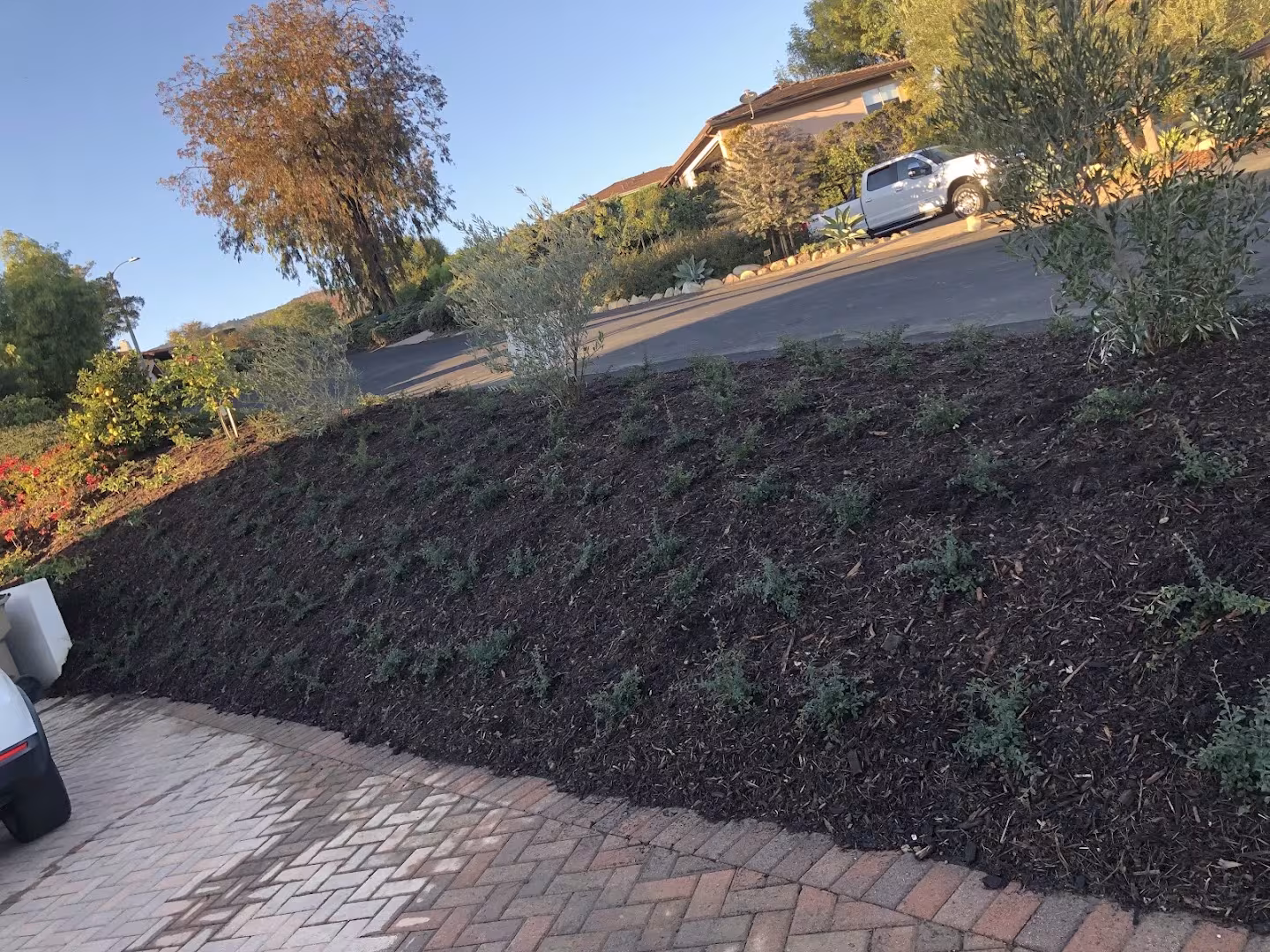 Landscaping & Lawn Care Mario's and Sons Landscape CA Santa Barbara edging