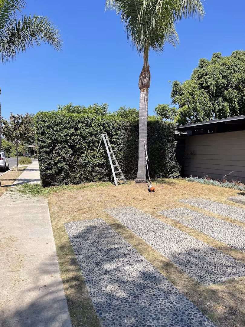 Landscaping & Lawn Care PJ & Son’s Gardening CA Santa Barbara sprinkler
