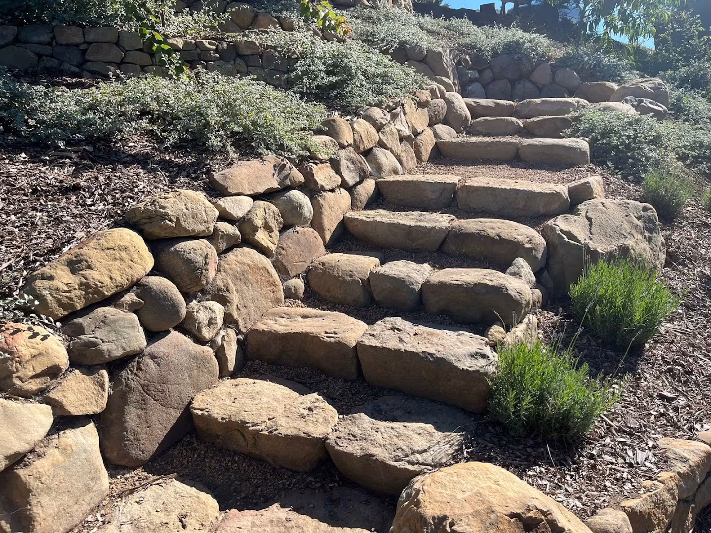 Landscaping & Lawn Care Santa Barbara Blue Agave Landscape CA xeriscape
