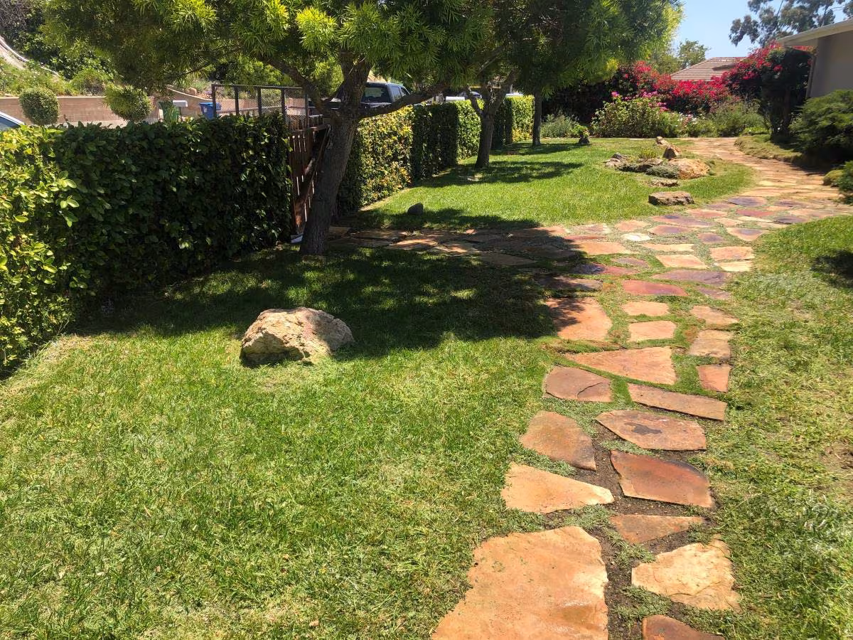 Landscaping & Lawn Care Santa Barbara PJ & Son’s Gardening CA sod