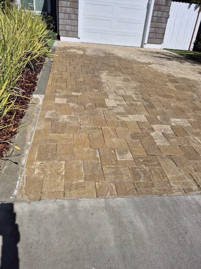 Santos landscaping Tree Service Santa Barbara CA day-rate