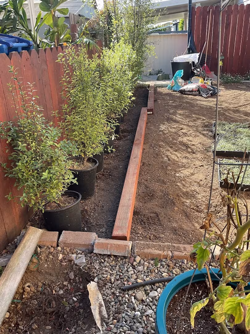 Santos landscaping Tree Service Santa Barbara CA insurance-tree