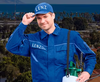 Pest Control Lenz Pest Control Santa Barbara CA vent-screen