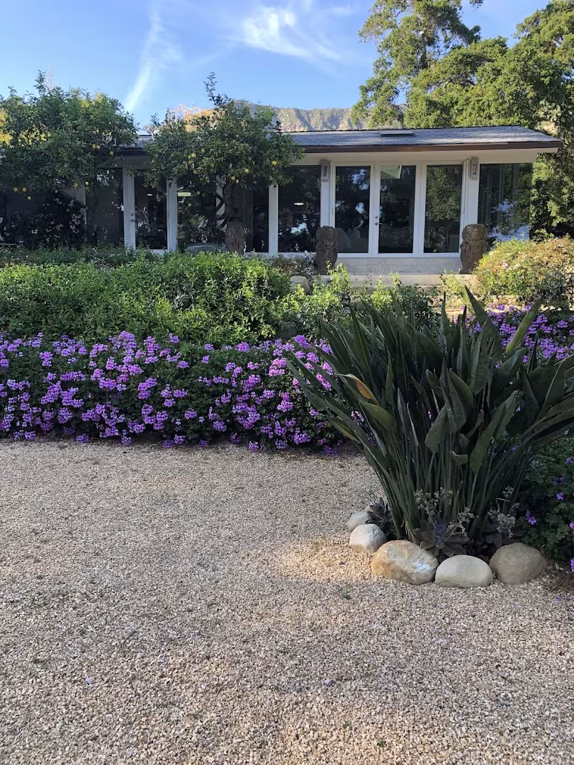 Luis' Landscape and Maintenance Tree Service Carpinteria CA consult