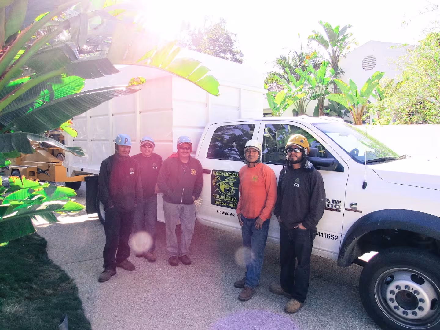 MONTECITO TREE CARE Tree Service CA Santa Barbara crown-reduce