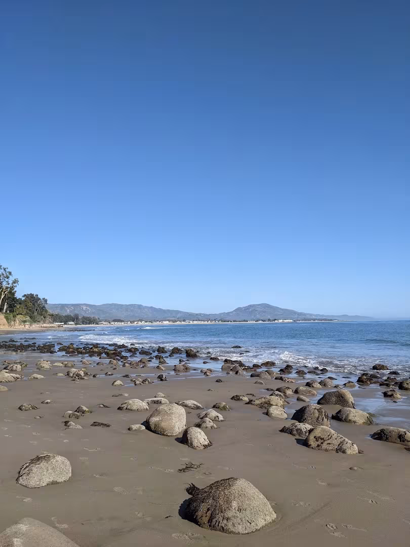Santa Barbara Paradise Pest Control Pest Control CA localized