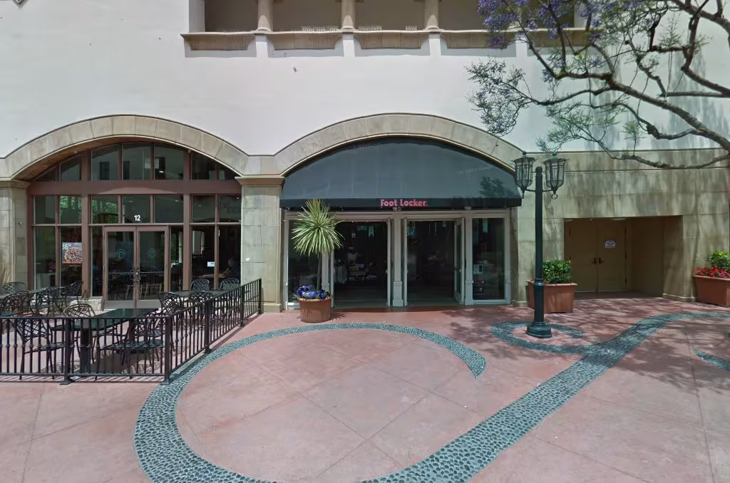 Santa Barbara Paradise Pest Control Pest Control CA recluse