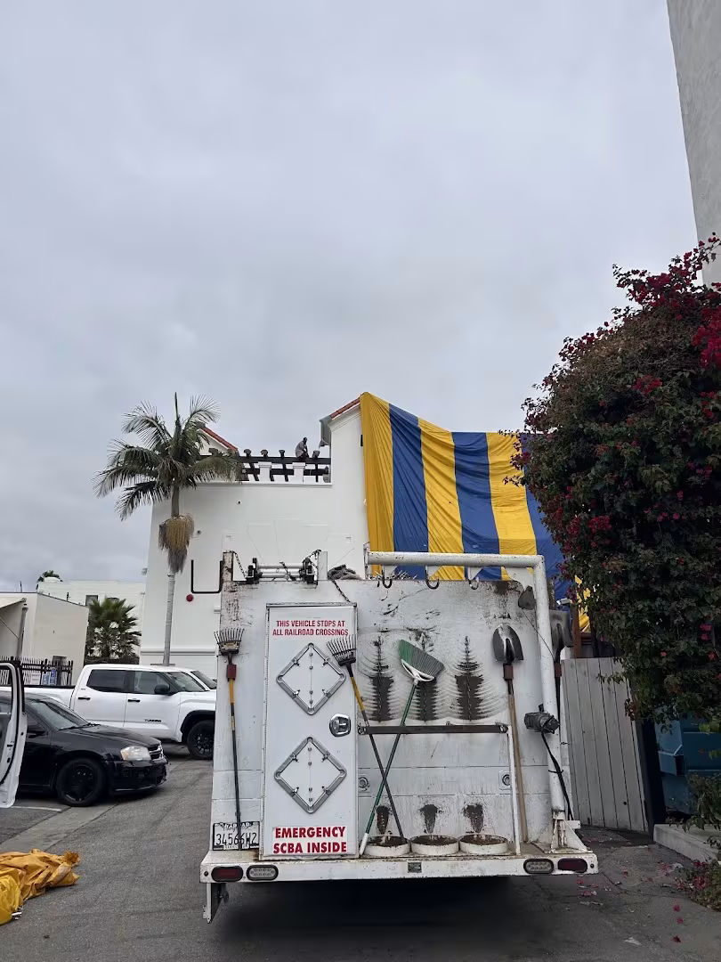 Pest Control Donahue Termite Inspections Santa Barbara CA american-roach
