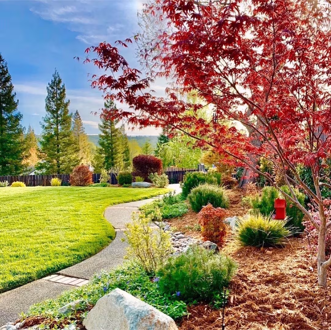 Versola Landscape Maintenance Service Pest Control Santa Barbara CA fumigation